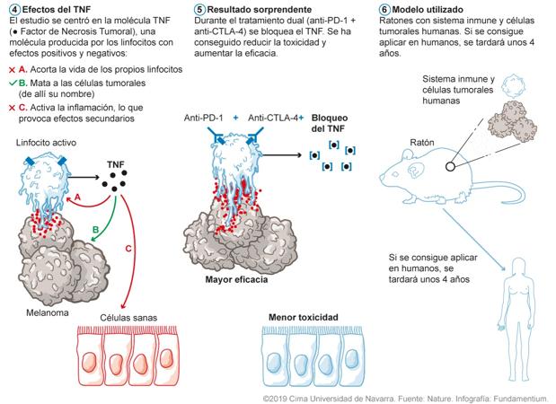 Investigadores españoles descubren un nuevo tratamiento del cáncer más eficaz y menos tóxico