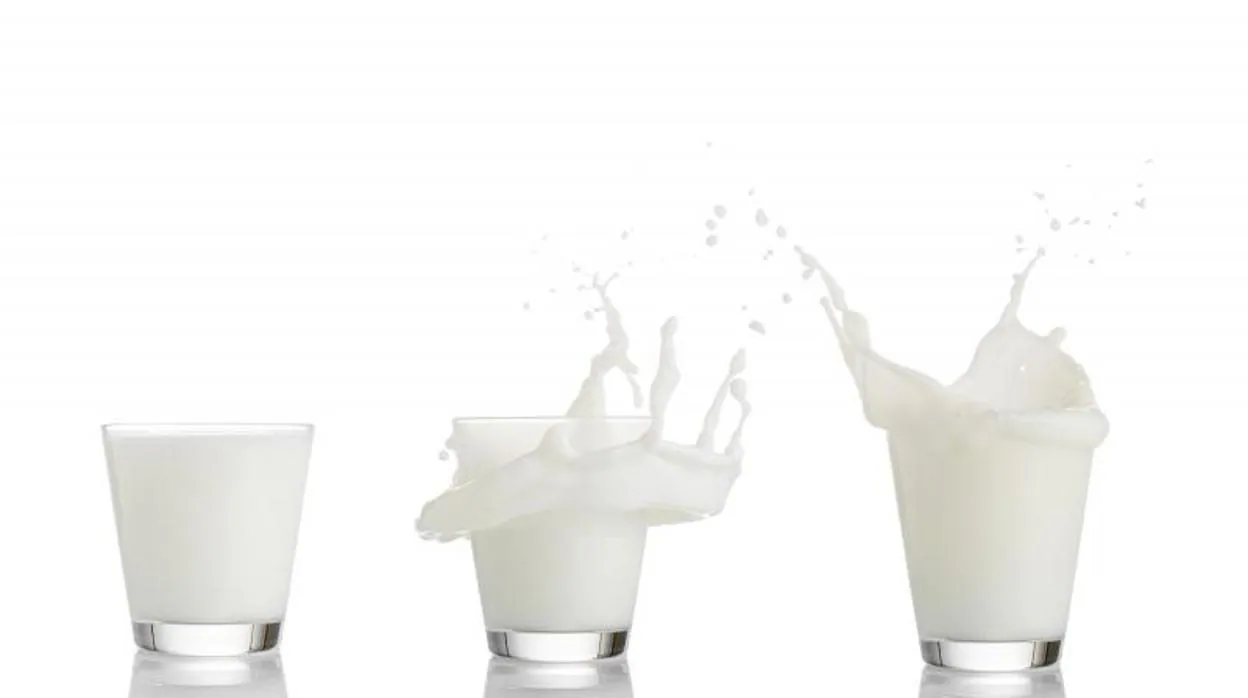La leche, además del calcio, aporta otros beneficios nutricionales