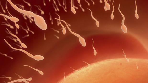 El semen congelado es viable para reproducir humanos fuera de la Tierra