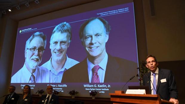 El Nobel de Medicina recae en los tres científicos que descubrieron cómo las células perciben y se adaptan a los niveles de oxígeno