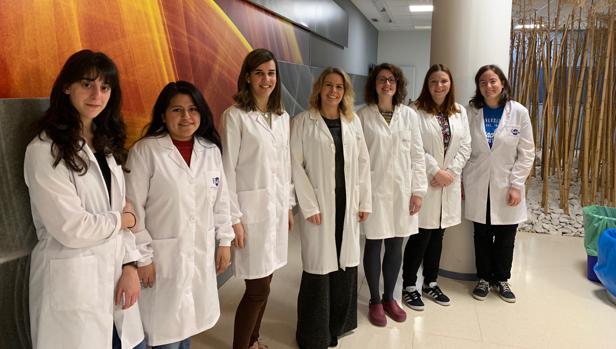 Investigadores españoles descubren que un fármaco para el intestino irritable sirve también para adelgazar