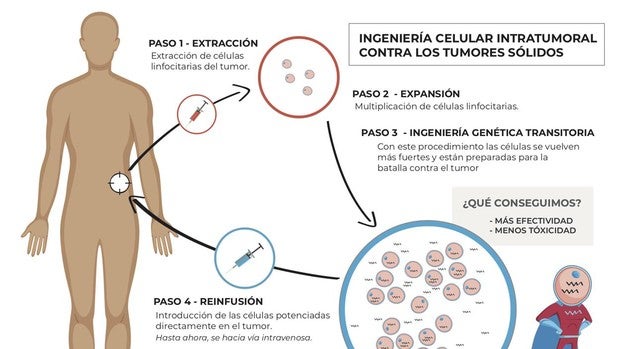 Ingeniería molecular y celular eficaz por vía intratumoral contra el cáncer