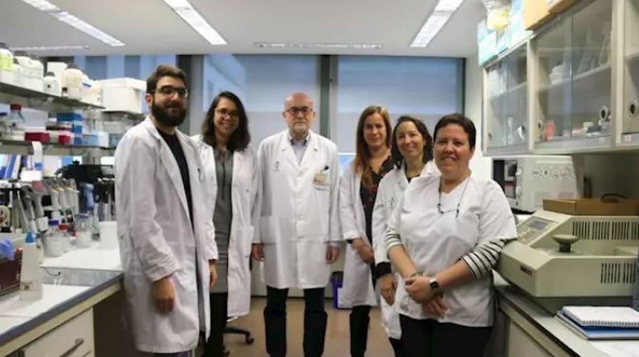 Equipo valenciano del proyecto internacional