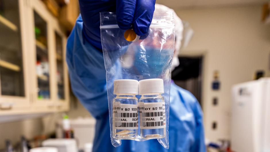 Una vacuna contra el coronavirus logra generar una respuesta inmune en ratones