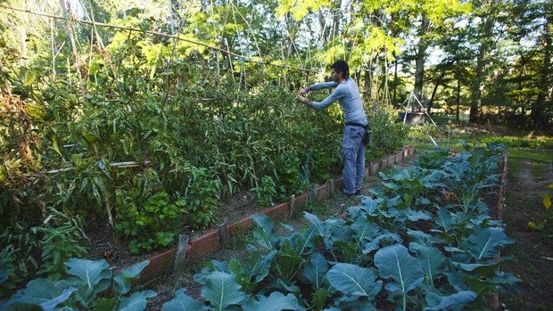 Cómo deben ser las ciudades sanas y resilientes del futuro