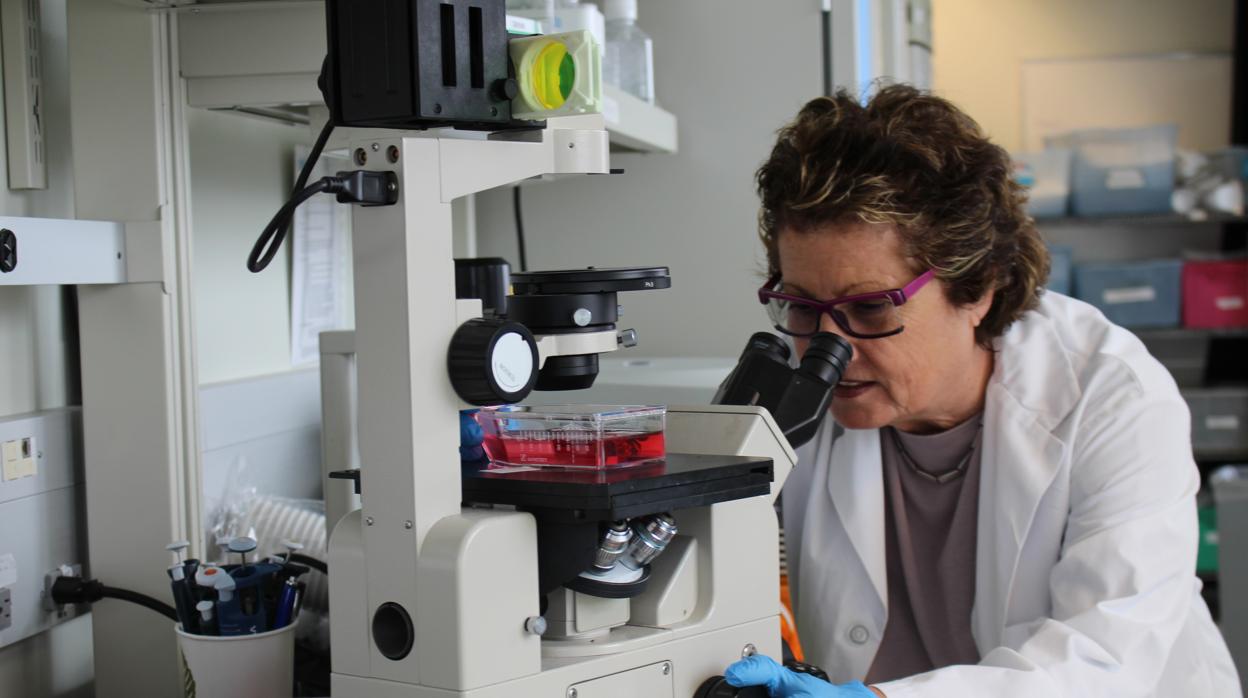 Eleanor Fish trabajando en su laboratorio de la Universidad Health Network, en Toronto.