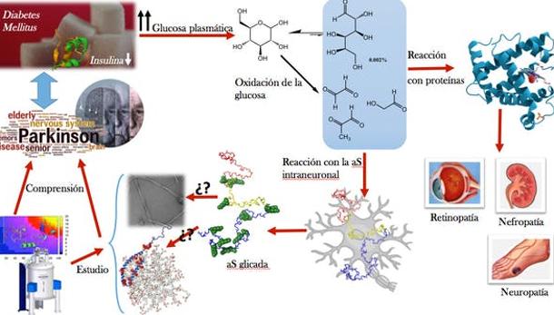 Esquema de la relación entre la diabetes tipo 2 y el párkinson