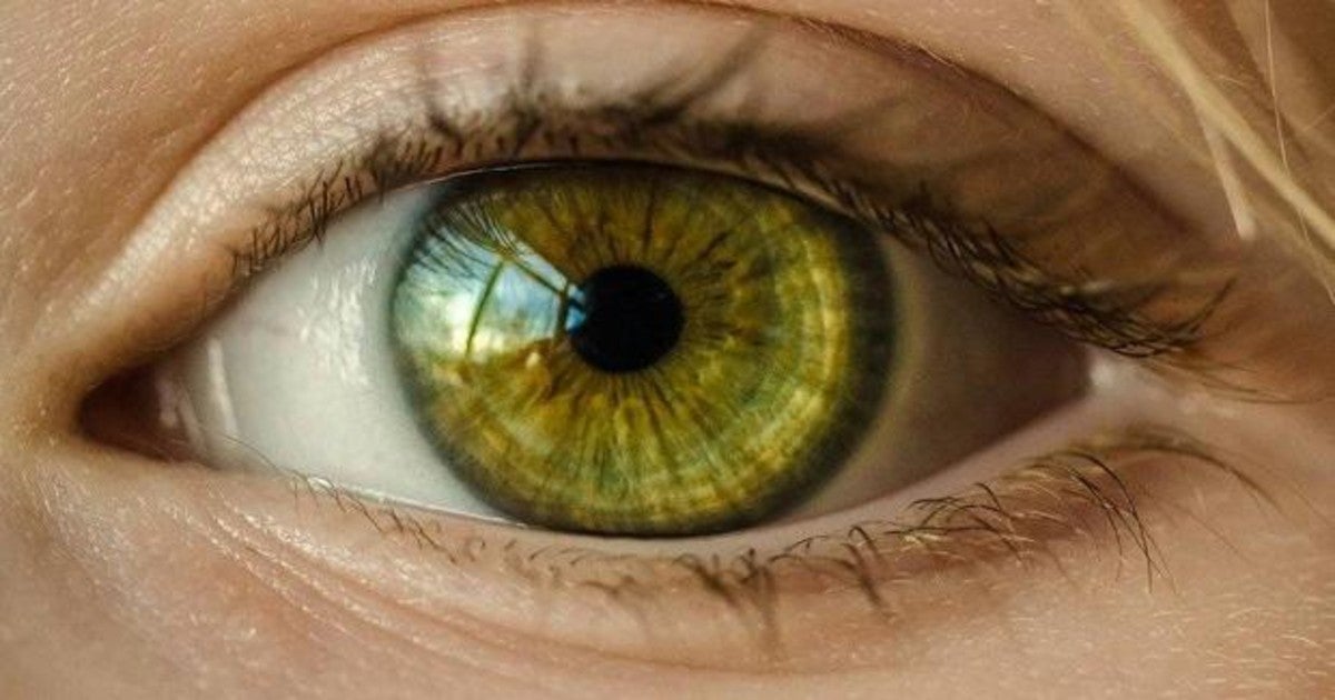 El primer cambio que aparece en la retina es la disminución del grosor del área macular, tanto en la capa de fibras nerviosas como el volumen total macular