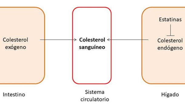 Regulación de los niveles de colesterol en sangre