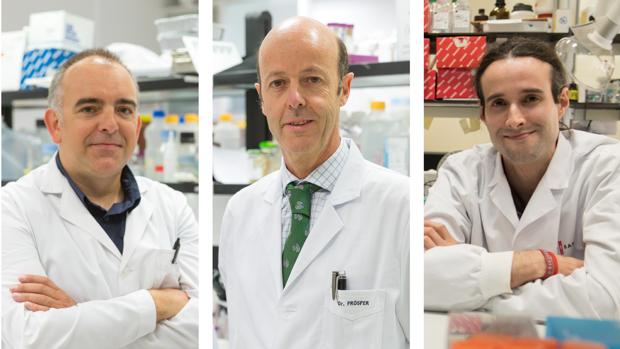 Investigadores españoles descifran el epigenoma del mieloma múltiple, un agresivo cáncer de la sangre