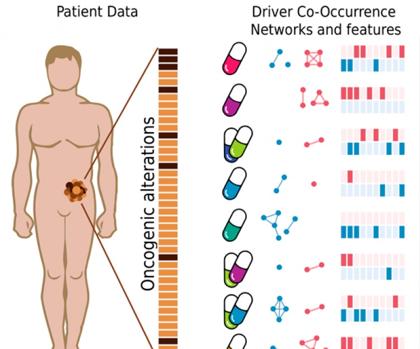 La co-ocurrencia de genes conductores del cáncer, clave para la medicina de precisión