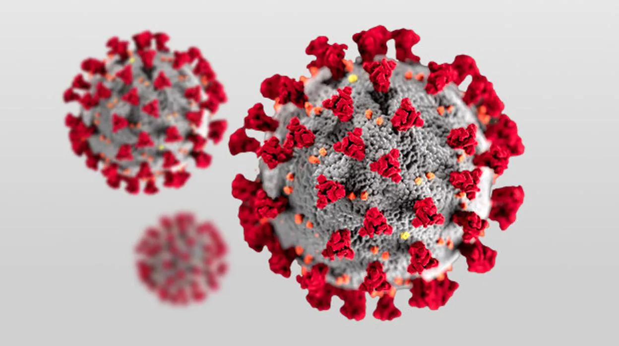 Las secuelas que deja el coronavirus SARS-CoV-2 son muy variadas