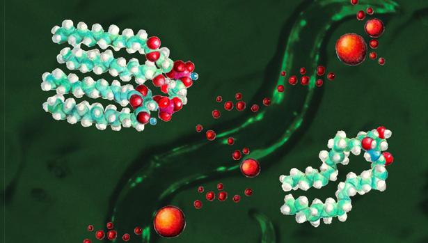 La nueva forma de tratar el cáncer, los inhibidores del ADN de las mitocondrias