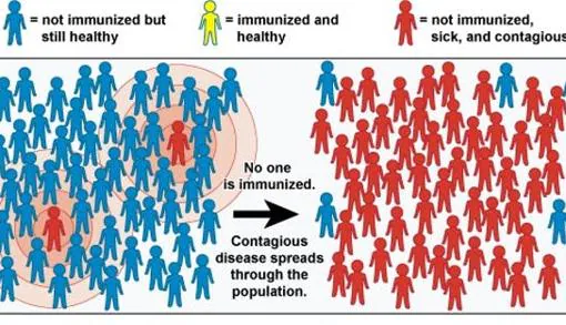 La imagen superior muestra un brote infeccioso en una comunidad mayoritariamente de personas sanas no inmunizadas (en azul). La infección se expande entre casi todos.