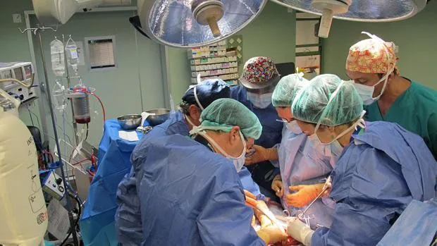 Una mujer muere tras recibir un trasplante de pulmones contagiados de Covid-19