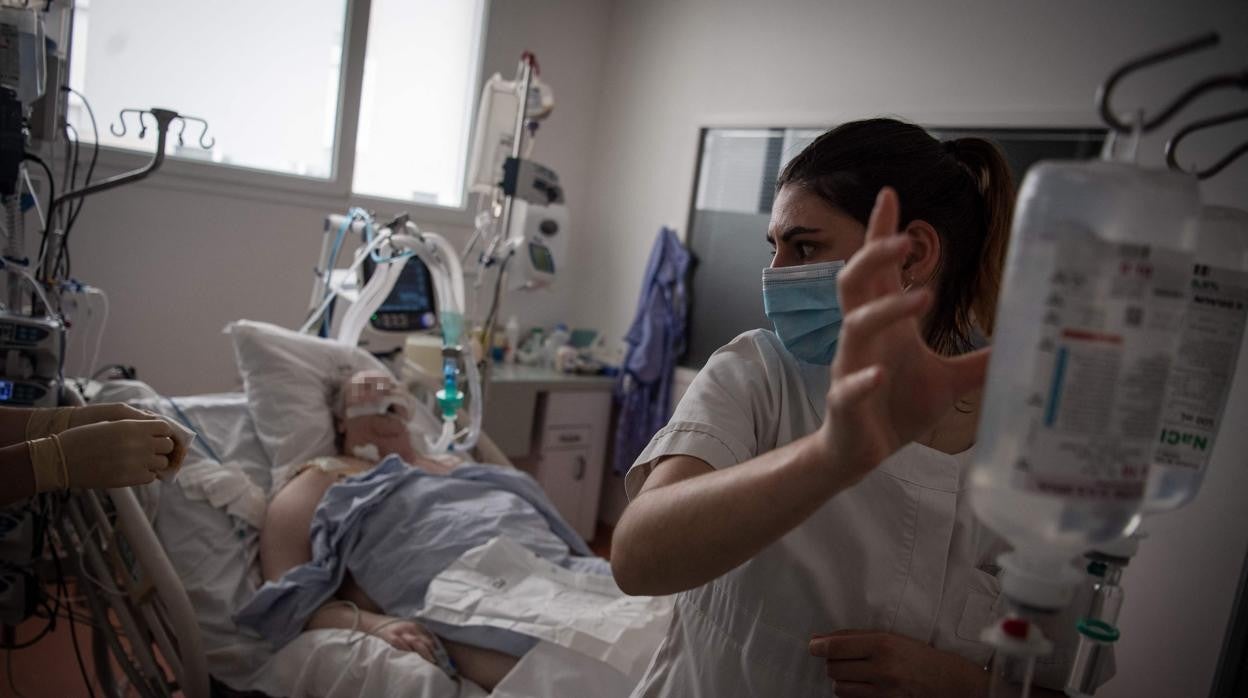 El nuevo estudio es único porque examina directamente el tejido pulmonar