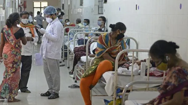 Qué es el 'hongo negro', la mortal infección que está afectando a contagiados por coronavirus en India