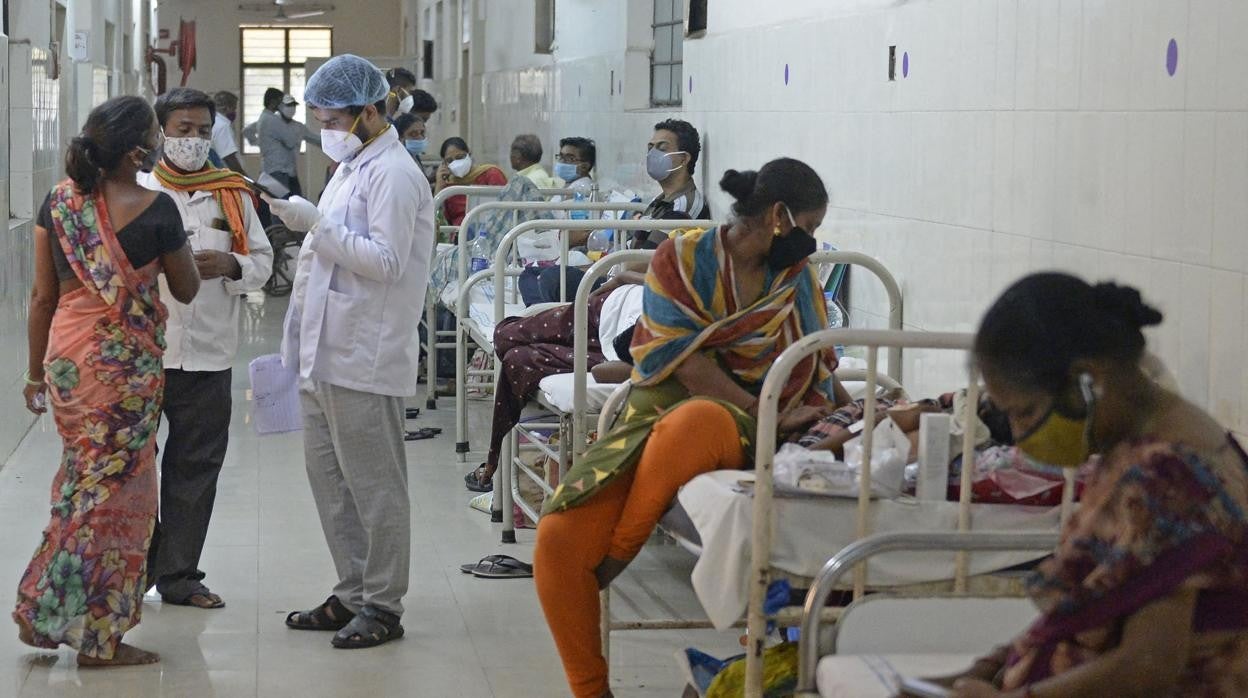 'El hongo negro', la infección letal que afecta a pacientes recuperados de Covid-19 en la India