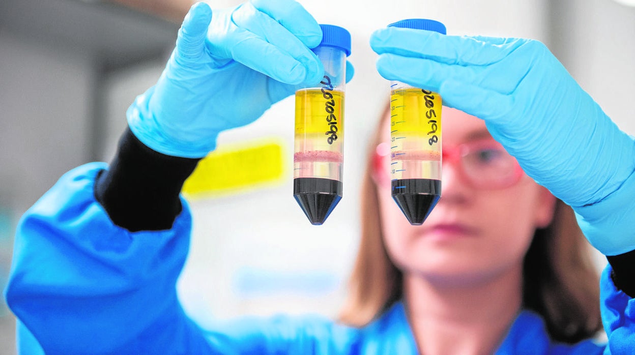 Inglaterra, Oxford, Jenner Institute. Trabajando en la vacuna AstraZeneca and Oxford University