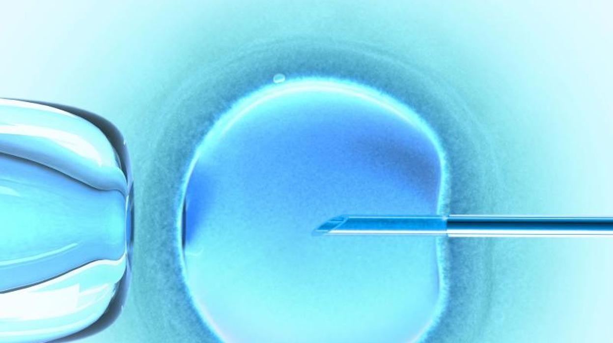 Lo último en tratamientos de fertilidad: menos invasivos y más eficaces