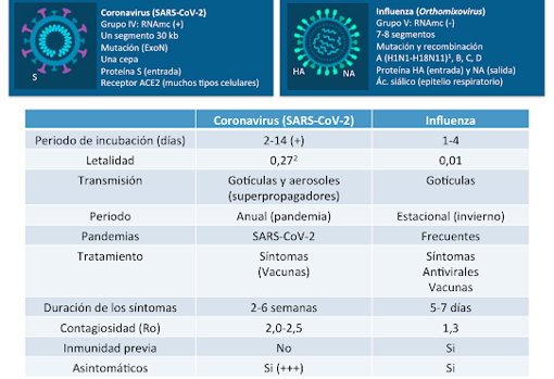 Gripe y bronquiolitis: Evitar la covid-19, un arma de doble filo