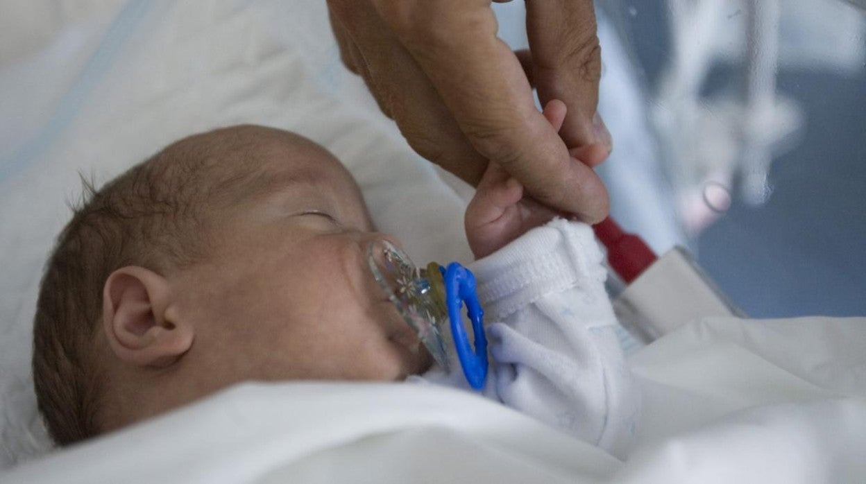 Nacer Con Bajo Peso Aumenta El Riesgo De Problemas Cardiovasculares De 