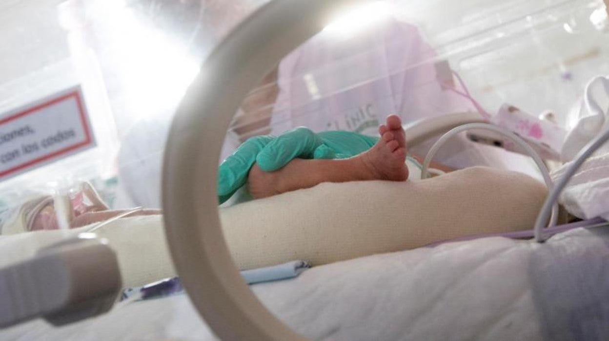 Escuchar la voz materna alivia el dolor en los bebés prematuros