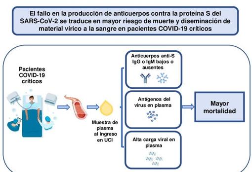 Los niveles bajos de anticuerpos anti-SARS-CoV-2 S predicen un aumento de la mortalidad y de la diseminación de los componentes virales en la sangre de los pacientes críticos de COVID-19. Facilitada por el autor.