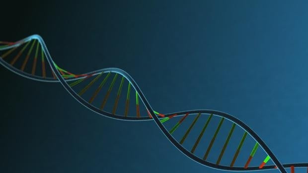 La variante neardental del Covid-19 protege ante el virus del sida