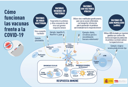 Novavax, la nueva vacuna contra el Covid que llega a España: cómo funciona y cuáles son sus efectos secundarios