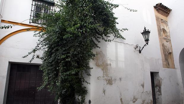 Sevilla desconocida: Patronato del Alcázar en el Patio de Banderas