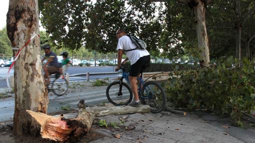 La seguridad se ve amenanaza en los carriles bici a veces por la falta de limpieza