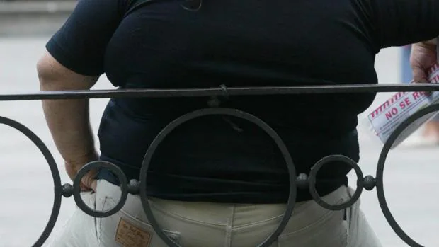 Hasta 23 enfermedades hay asociadas a la obesidad