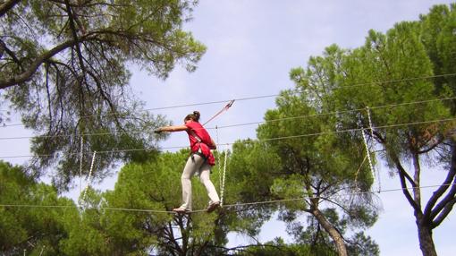 Bosque suspendido