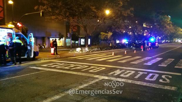 El atropello ha ocurrido a la altura del número 28 de la avenida Luis de Morales