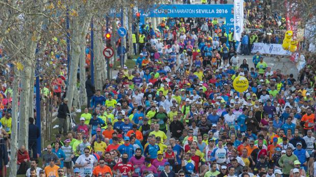 Imagen de la maratón de Sevilla en su edición 2016