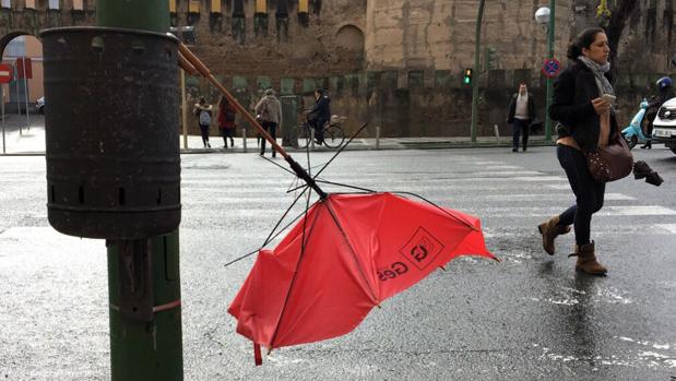 Temporal de viento en Sevilla