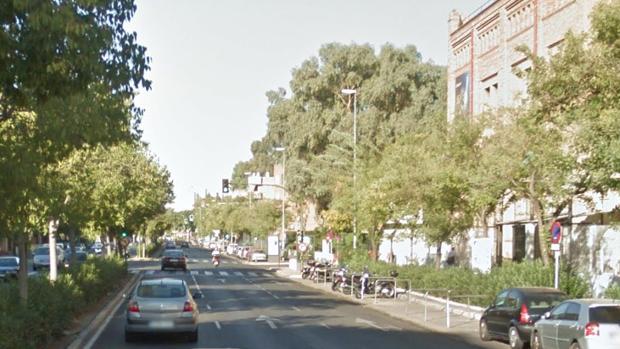 Zona de la avenida Cardenal Bueno Monreal en la que ha tenido lugar el atropello