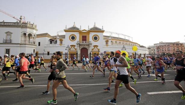 Campeones, debutantes y tapados, todos contra el crono en el Zurich Maratón de Sevilla