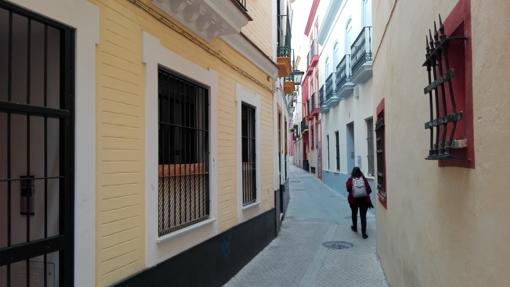 Calle Morgado (196 cm)