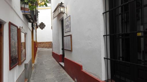 Calle Rodrigo Caro (130 cm)