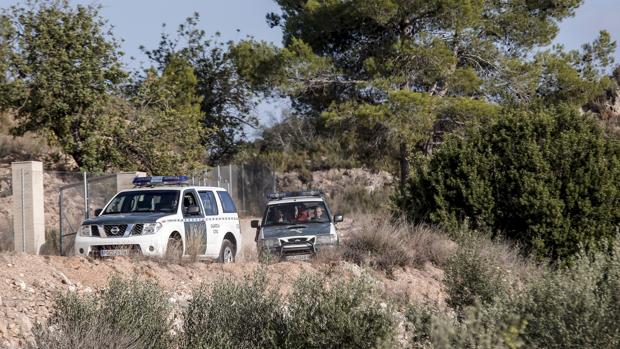 Detenido un vecino por disparar y matar a dos perros