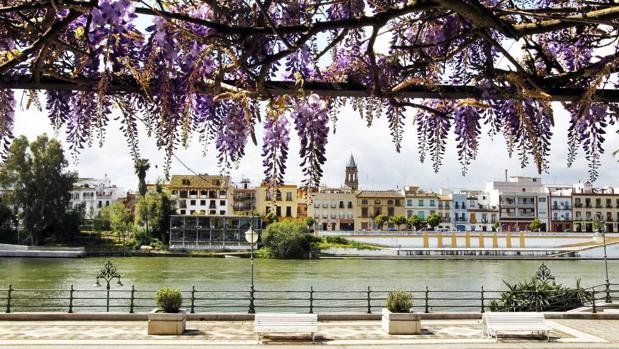 Planes para disfrutar en Sevilla durante la Semana Santa