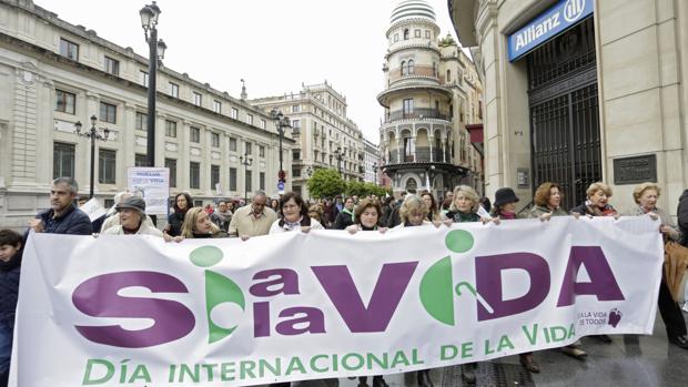 La marcha por el «Derecho a la vida» ayer en la Constitución