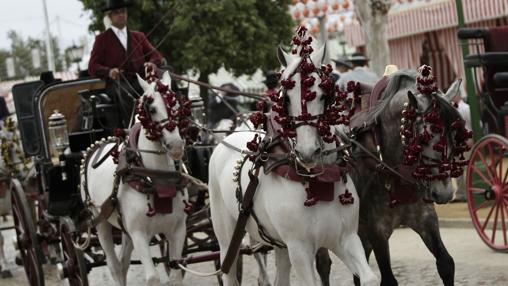 Un coche de caballos por el Real