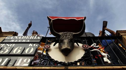 Corrida de toros de Miura de la pasada Feria de Abril