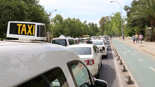 Cuatrocientos taxis cortan en Sevilla la Borbolla en contra de Uber y Cabify