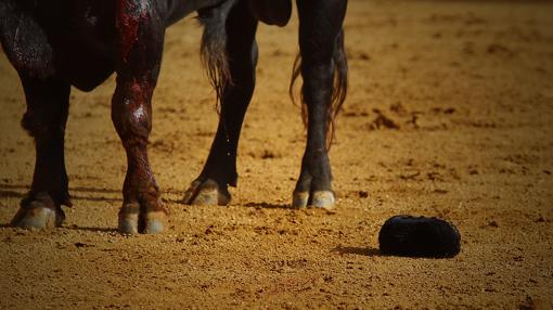 ¿Qué tienes que hacer en la Feria de Sevilla para no desentonar?