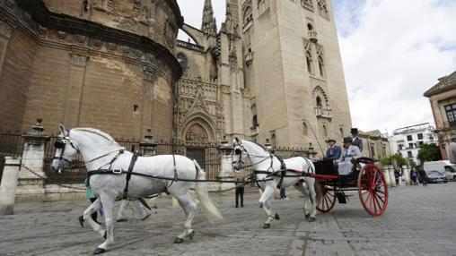 Uno de los participantes pasea con un tándem junto a la Giralda