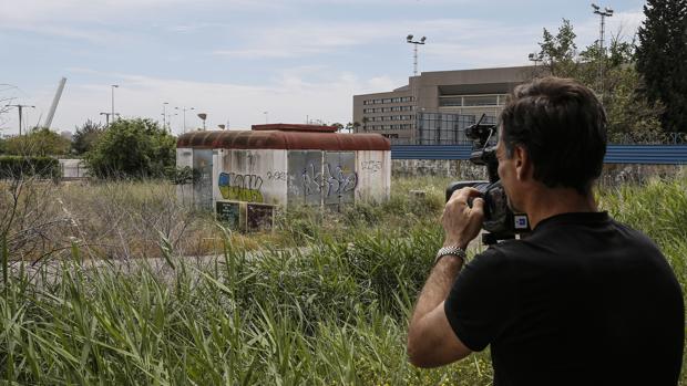 Un cámara de televisión toma imágenes de la zona donde fue encontrada la joven desorientada